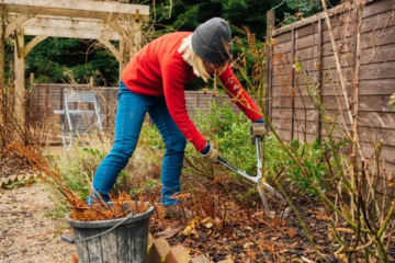 Seasonal Landscaping Tips to Prepare for Harsh Winters